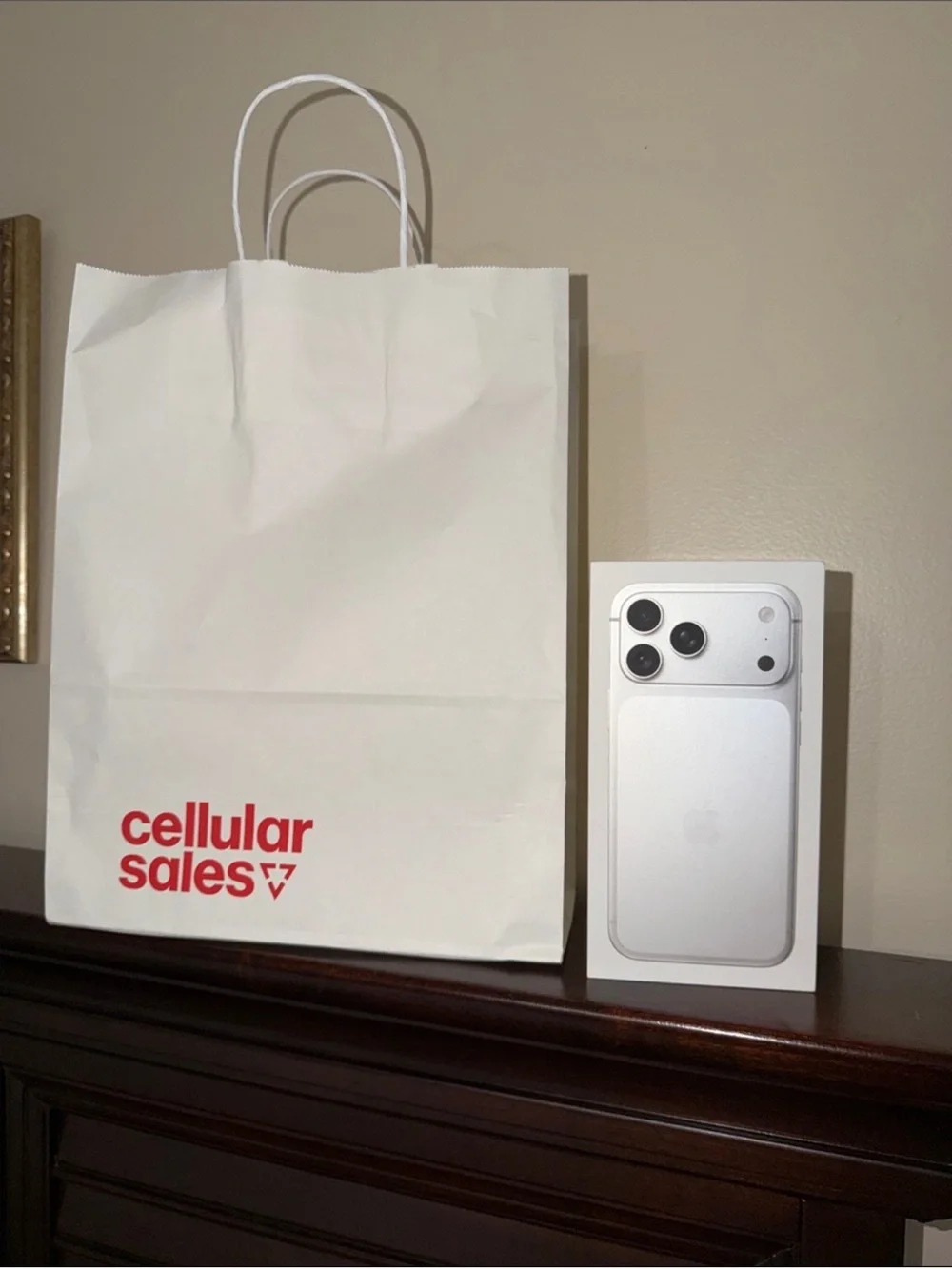 iPhone 17 ProMax Empty Box and Shopping Bag
